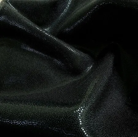 Бифлекс-голограмма 02 BLAC