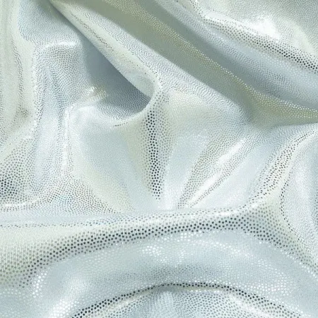 Бифлекс-голограмма 01 B.CO\ARGENTO